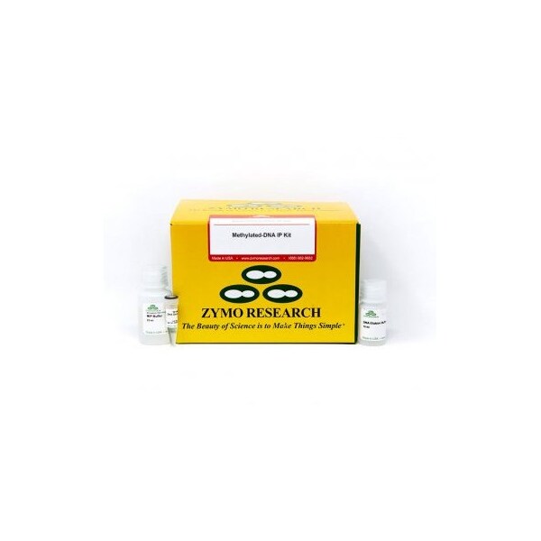 Methylated-DNA IP Kit, 10 Reactions